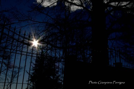 Controluce verso la collina