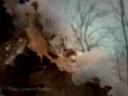 /album/galleria-foto-inverno/img-8941-jpg/
