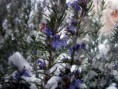 /album/galleria-foto-inverno/img-8918-jpg/