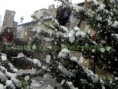 /album/galleria-foto-inverno/img-8922-jpg/