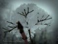 /album/galleria-foto-inverno/img-8935-jpg/