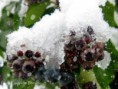 /album/galleria-foto-inverno/img-8940-jpg/
