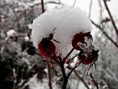 /album/galleria-foto-inverno/img-8943-jpg/