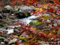 /album/galleria-foto-autunno-in-valle-pesio/img-6960-jpg/