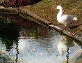 /album/galleria-foto-oche/img-8974-800-jpg/