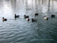 /album/galleria-foto-oche/img-8963-800-jpg/
